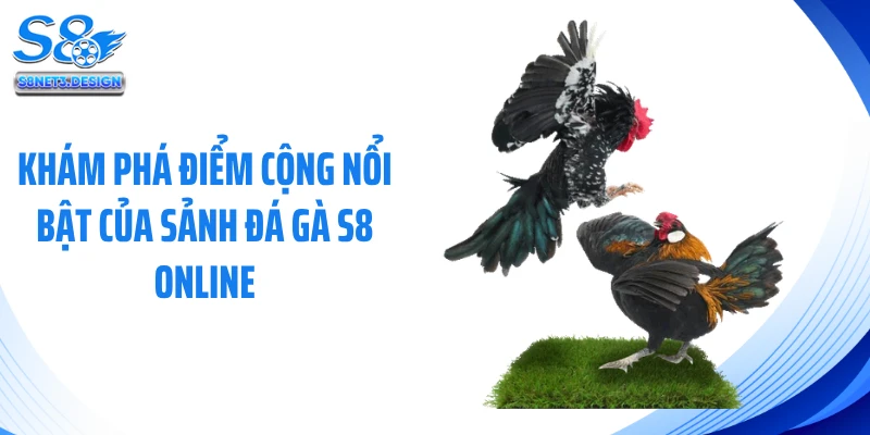 Khám phá điểm cộng nổi bật của sảnh đá gà S8 online